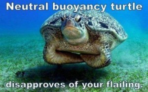 Neutral Buoyancy Turtle